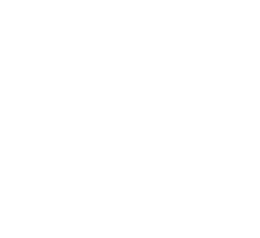 Лидер