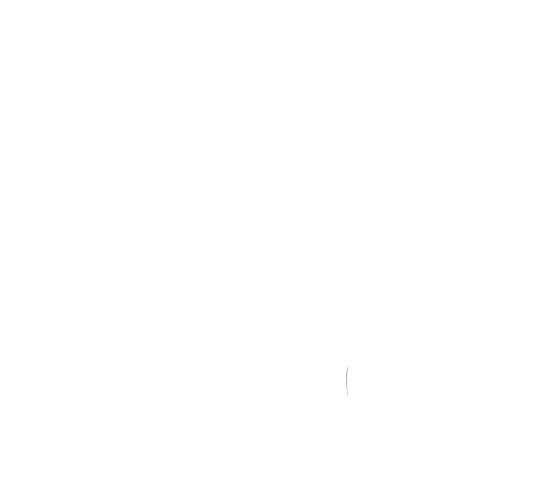 Дизайнер