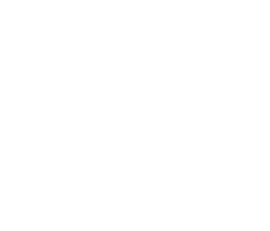Разработчик